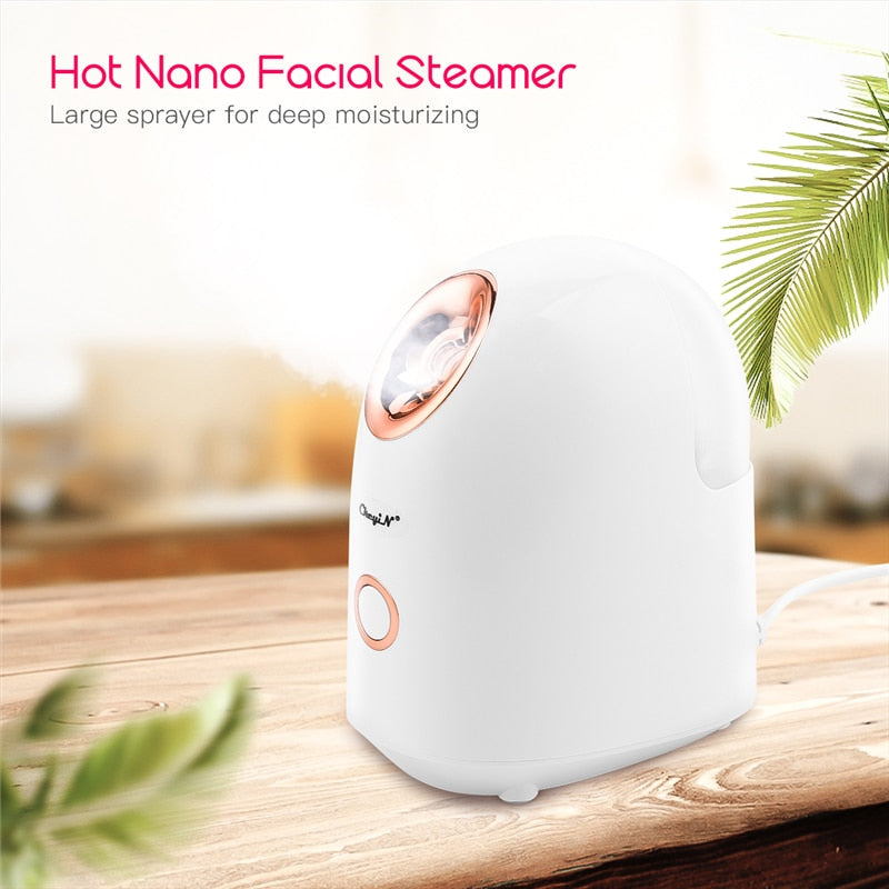 Nano Sprayer Women Skin Care Machine Hydration Facial Steamer